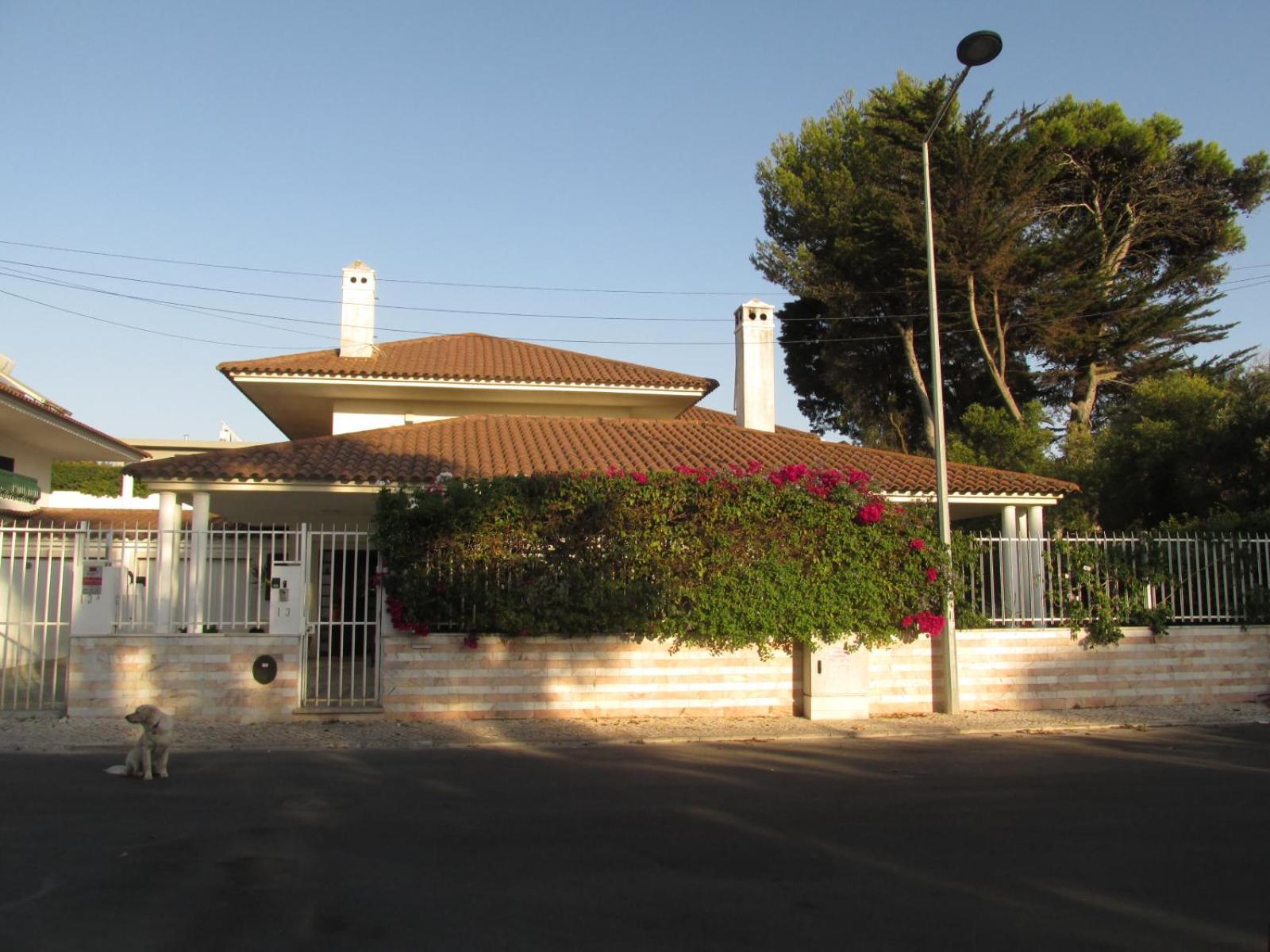 Go Pt - Private Challet With Swimming Pool And Garden Parede Eksteriør bilde